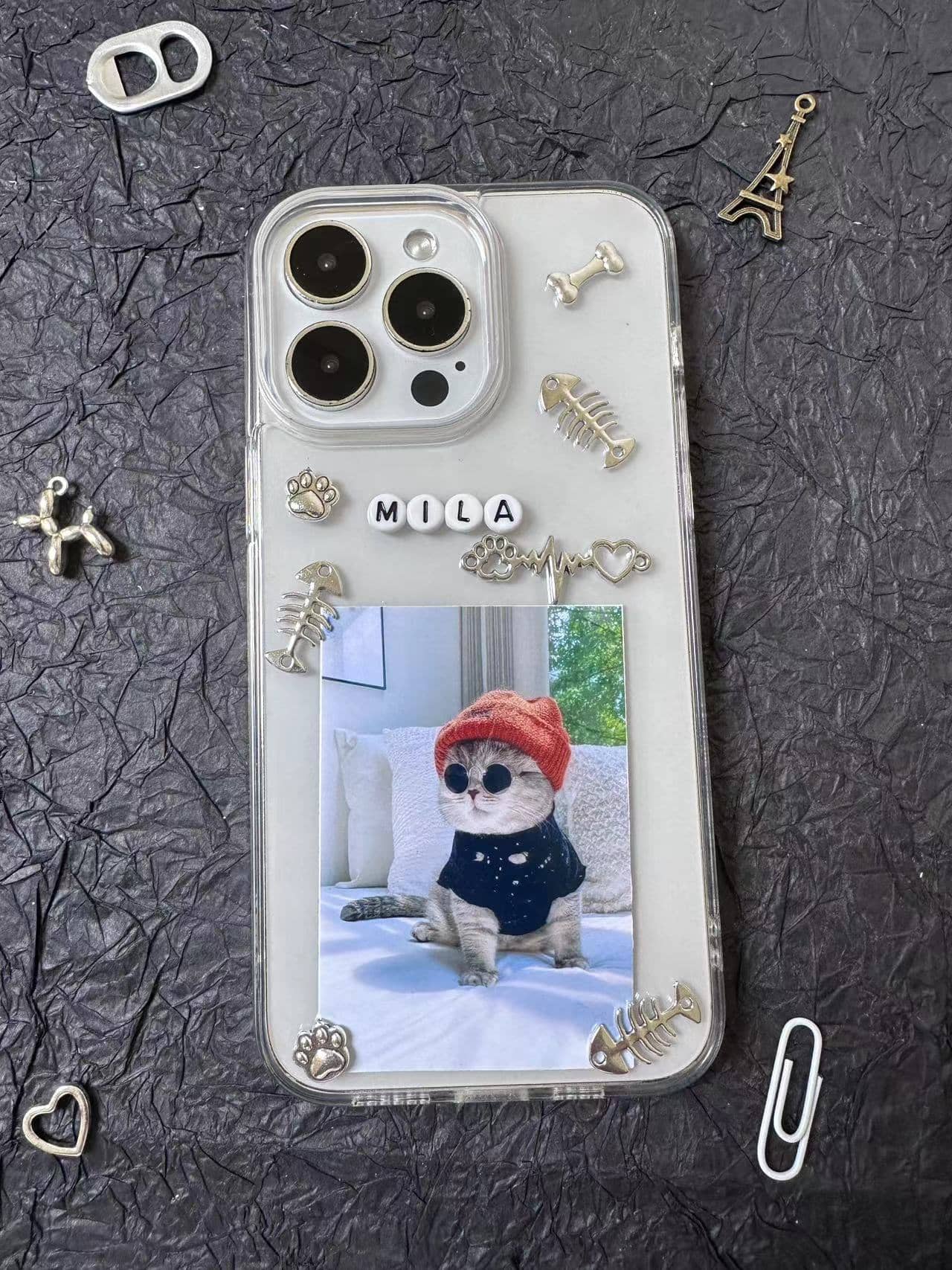 Pet customization case