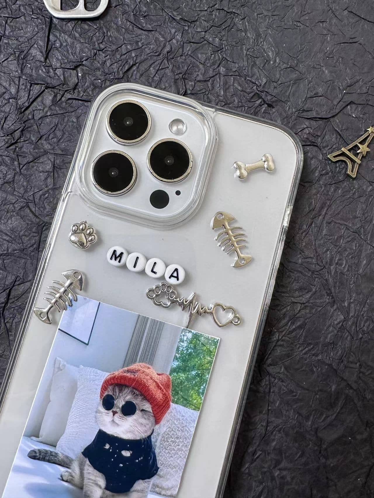 Pet customization case